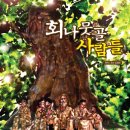 부산광역시 동구 자성로 141번길 이미지