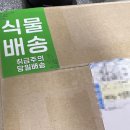 25.03.29 반려초와 동거시작