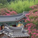 경암역 | 군산 여행 필수코스 하루만에 즐기기