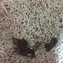 감자와 맛동산 이미지