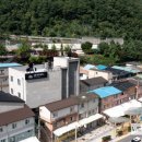 야생화마을 추리본부 이미지