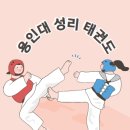 용인대태권도 이미지