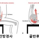 트레이닝데이 피트니스 이미지