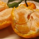 태경농원 이미지