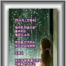 바람향기 이미지