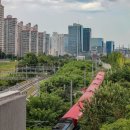 H1559 이미지