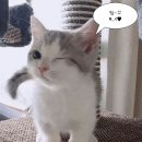 새싹이돋아나는봄철 이미지