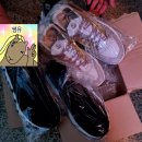새신을신고(인천명품운동화세탁) 이미지