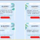 비코스투어