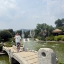 [내돈내산] 고창 들꽃카페수목원 방문 후기｜아이와 애견동반 가능한 정원카페