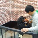 닥터아이펫 동물병원 이미지