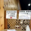 제주 노형동 매콤한 낙지볶음 전문점 도민 맛집 경일낙지 솔직후기