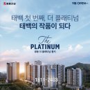 황지 이미지