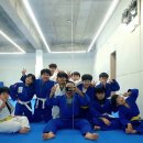 용인대 선샤인 유도 이미지