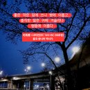 구포동물병원 | 눈에 보이지 않는 살인자