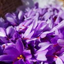 (주)올로 이미지