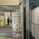 운지로 | 인천공항 1터미널 스카이허브 라운지 서편 새벽시간 음식 주류 이용 후기 (24시간 운영 라운지)