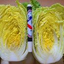 알배기