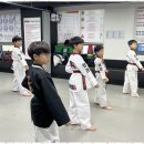 경희대 최강 MTA 태권도 | 양진초등학교 아이들의 꿈이 자라는 곳, MTA태권도장 체험기