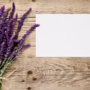 한샘플라워 이미지