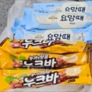 샤르뜨 이미지