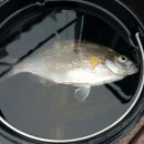 계도어촌체험휴양마을 이미지