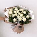 미스홀랜드