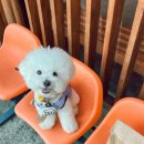 사계절송당 이미지