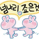 돈블레하우스