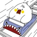 성안정 이미지