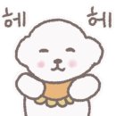 허니모모 애견미용실 이미지