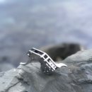 메카닉섭