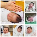 제이에이치팜스
