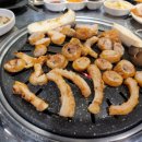 불막열삼 괴정점 이미지