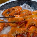 지영이네 이미지