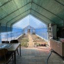 KS농장 | [전북 임실] KS 인증된 국산 비닐하우스 자재 및 가격