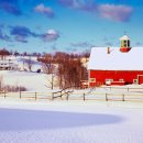 so tree farm 이미지