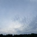 노은부부치과의원 이미지