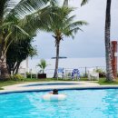 쿠오 | 모알보알 숙소 추천｜쿠오 바디스 다이브 리조트 후기 (정어리 떼 바로 앞, 가족여행 2026)