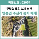 은티농장 이미지