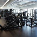 소프트 실버타입 이미지