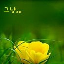 옥 천 이미지