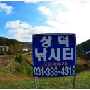 상덕 이미지