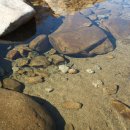 연풍IC주유소 이미지