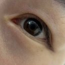 페르마타 | [인천 아라] 검단신도시 페르마타뷰티 수분케라틴펌 후기💗