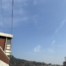 오백에사십오 이미지