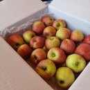 호준농장2 이미지