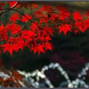 신우초등학교 이미지