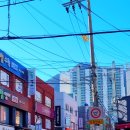 바르다정육점 - 10932 | 바르다정육점