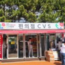 금산군푸드트럭존 | 내돈내산 찐후기 충남 태안 국제꽃박람회 원예치유박람회 꽃축제 티니핑 포토존 카자니아 체험부스...